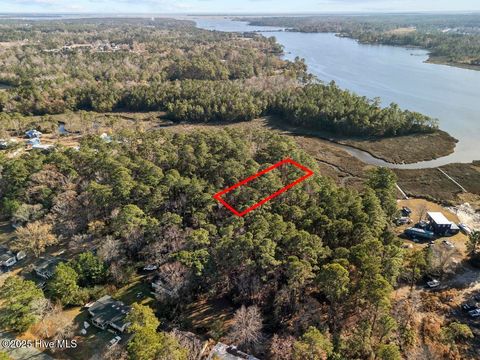 Tiny photo for 227 Youpon Drive, Hubert, NC 28539 (MLS # 100547336)