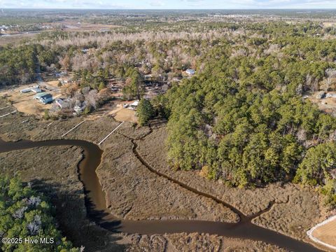 Tiny photo for 227 Youpon Drive, Hubert, NC 28539 (MLS # 100547336)