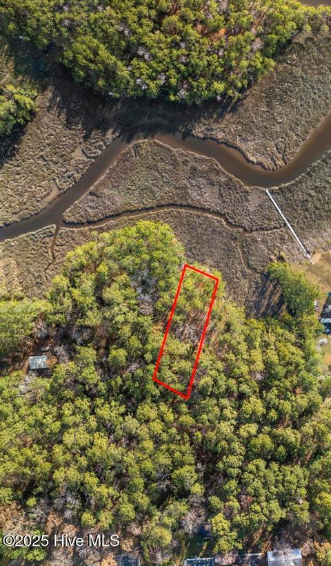 Tiny photo for 227 Youpon Drive, Hubert, NC 28539 (MLS # 100547336)