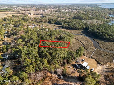 Tiny photo for 227 Youpon Drive, Hubert, NC 28539 (MLS # 100547336)