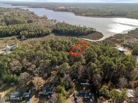 Photo of 227 Youpon Drive, Hubert, NC 28539 (MLS # 100547336)