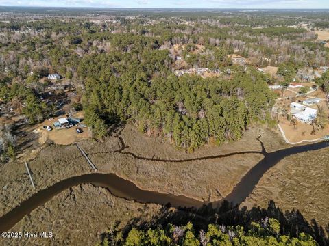 Tiny photo for 227 Youpon Drive, Hubert, NC 28539 (MLS # 100547336)