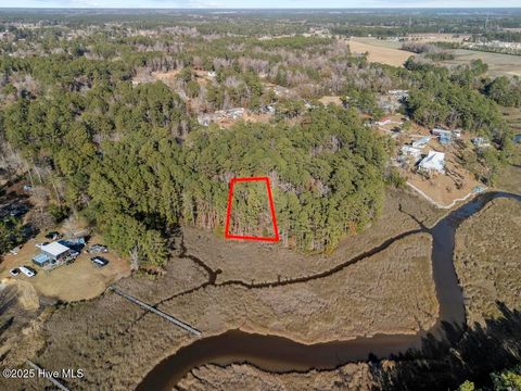 Tiny photo for 227 Youpon Drive, Hubert, NC 28539 (MLS # 100547336)