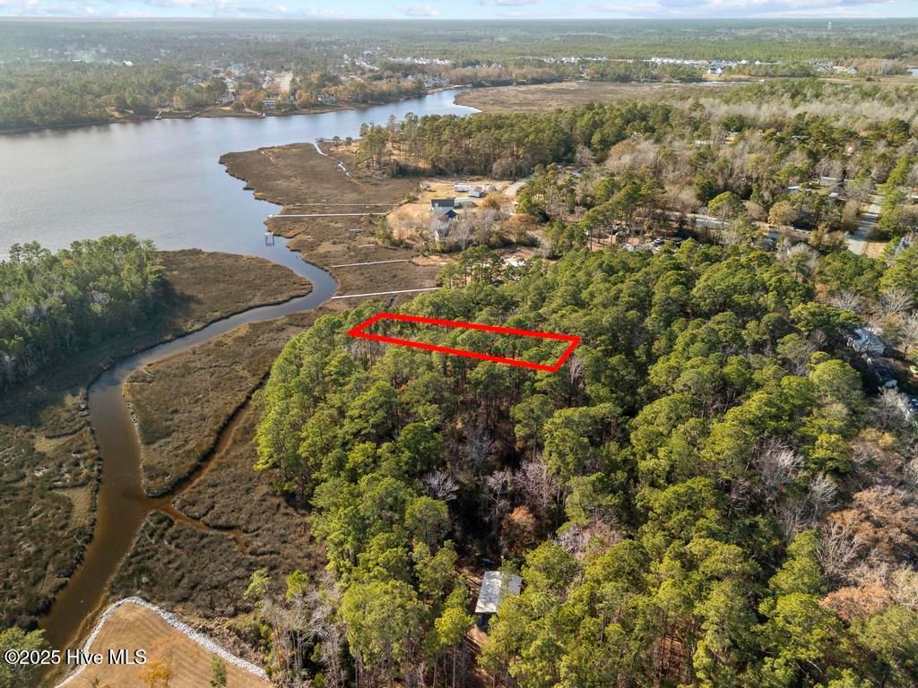 Photo of 227 Youpon Drive, Hubert, NC 28539 (MLS # 100547336)