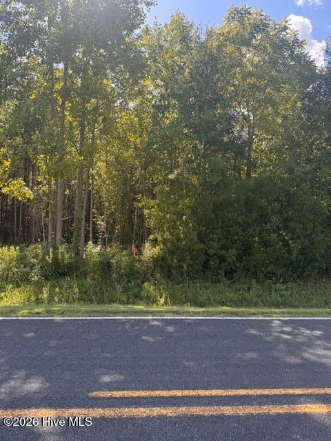 Photo of 4 Great Swamp Road, Ernul, NC 28527 (MLS # 100604929)