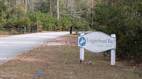 Tiny photo for 314 Livingston Court, Holly Ridge, NC 28445 (MLS # 100588571)