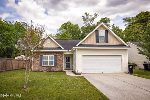 Photo of 1017 Bally Bunion Lane, Burgaw, NC 28425 (MLS # 100566481)