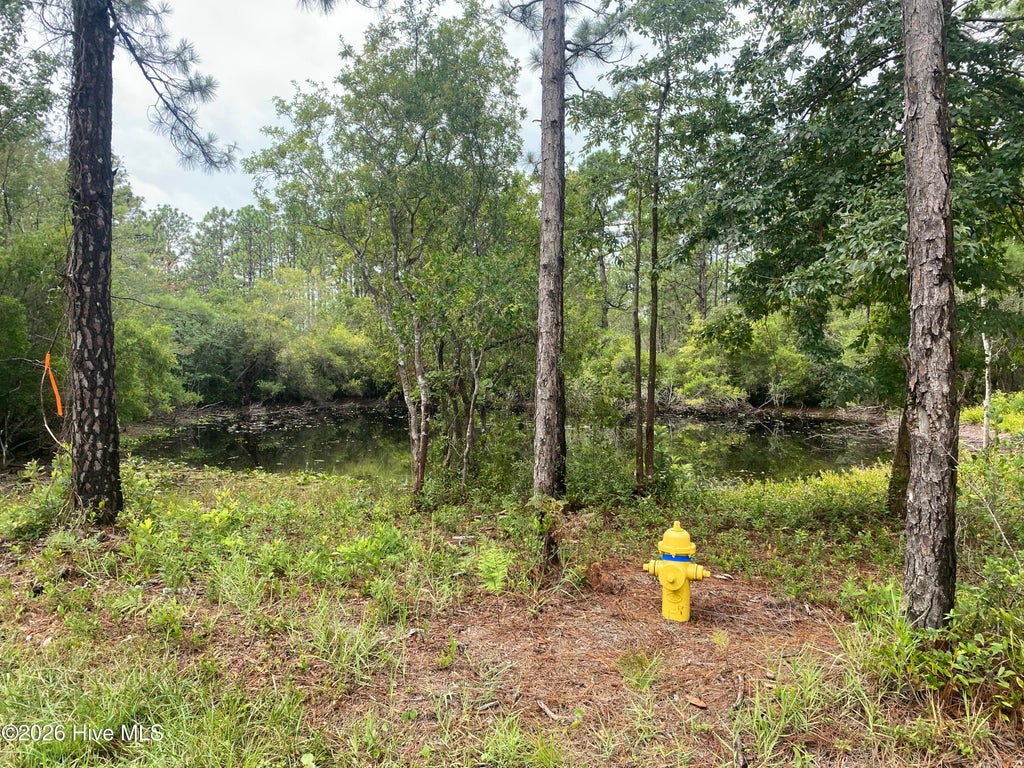 Photo of 120 Dixon Road, Boiling Spring Lakes, NC 28461 (MLS # 100605248)