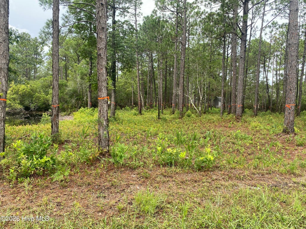 Photo of 120 Dixon Road, Boiling Spring Lakes, NC 28461 (MLS # 100605248)