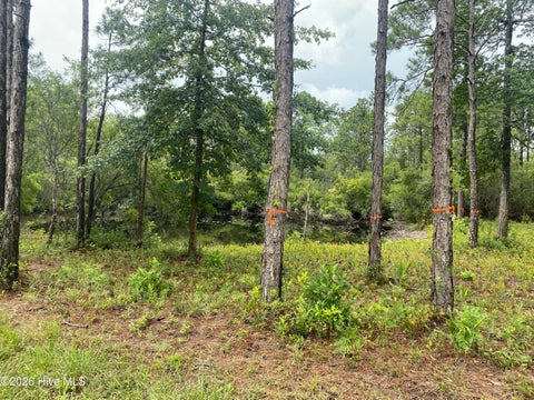 Vacant Land For Sale - 120 Dixon Road<br/> Boiling Spring Lakes, NC 28461