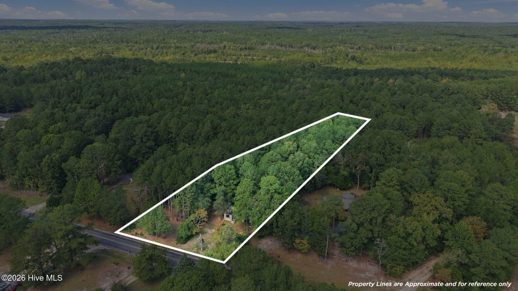 Photo of 1418 Juniper Lake Road, West End, NC 27376 (MLS # 100608483)