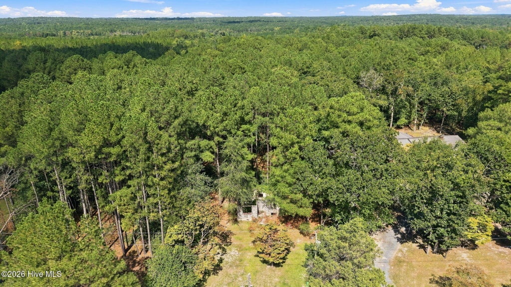 Photo of 1418 Juniper Lake Road, West End, NC 27376 (MLS # 100608483)