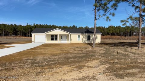 Photo of 2173 Rowan Road, Clinton, NC 28328 (MLS # 100550862)