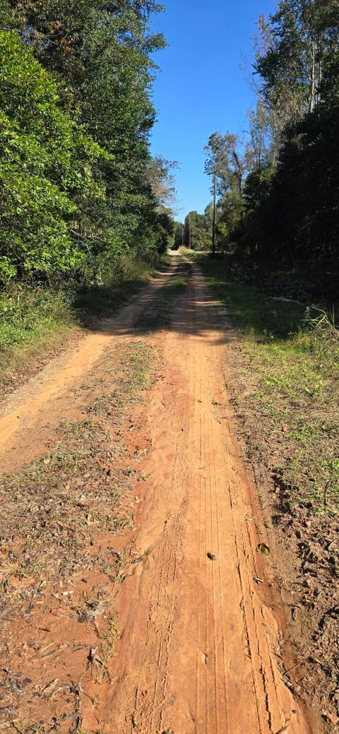 Vacant Land For Sale - Ruby Street<br/> Aiken County, Jackson, SC 29831