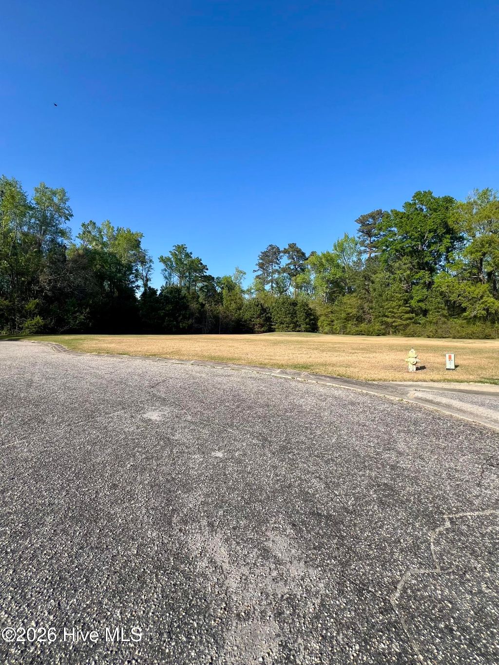 Photo of 659 Evergreen Street, Whiteville, NC 28472 (MLS # 100563972)