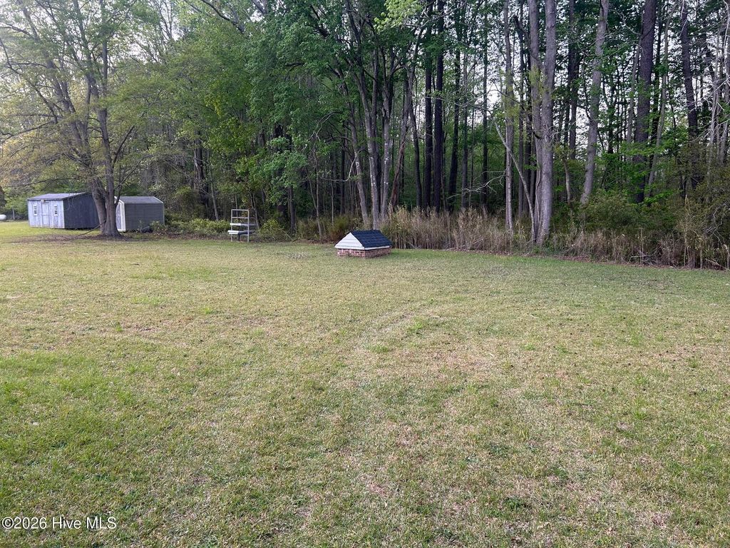 Photo of 314 Cypress Creek Court, Pinetops, NC 27864 (MLS # 100565580)