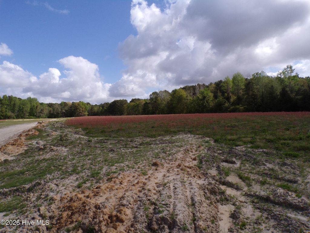 Photo of 158 Old Wilmington Road, Whiteville, NC 28472 (MLS # 100565567)