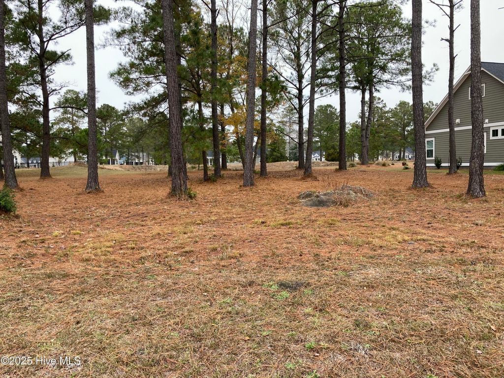 Photo of 1036 Crosby Circle SW, Sunset Beach, NC 28468 (MLS # 100544538)