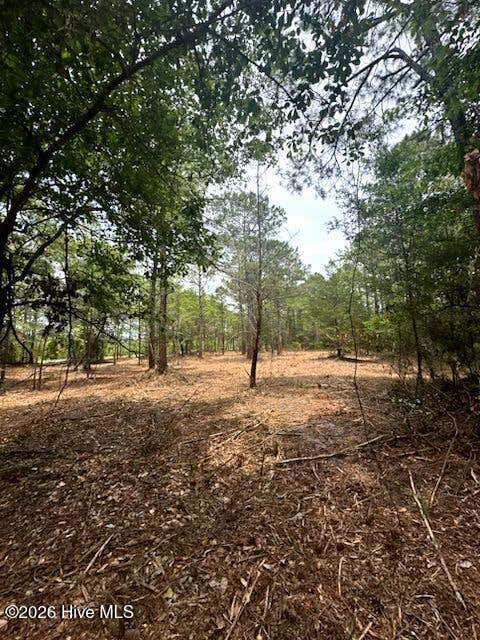Vacant Land For Sale - 2913 James Street<br/> Supply, NC 28462
