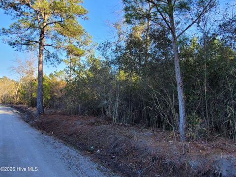 Vacant Land For Sale - TBD LOT 3 Auburn Drive<br/> Loris, SC 29569