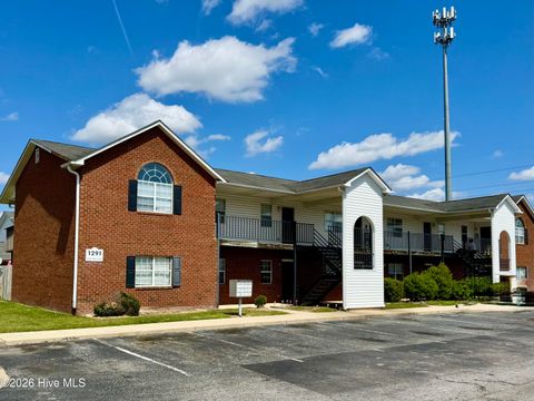 Apartment For Rent - 1293 Park West Drive #9<br/> Pitt County, Greenville, NC 27834