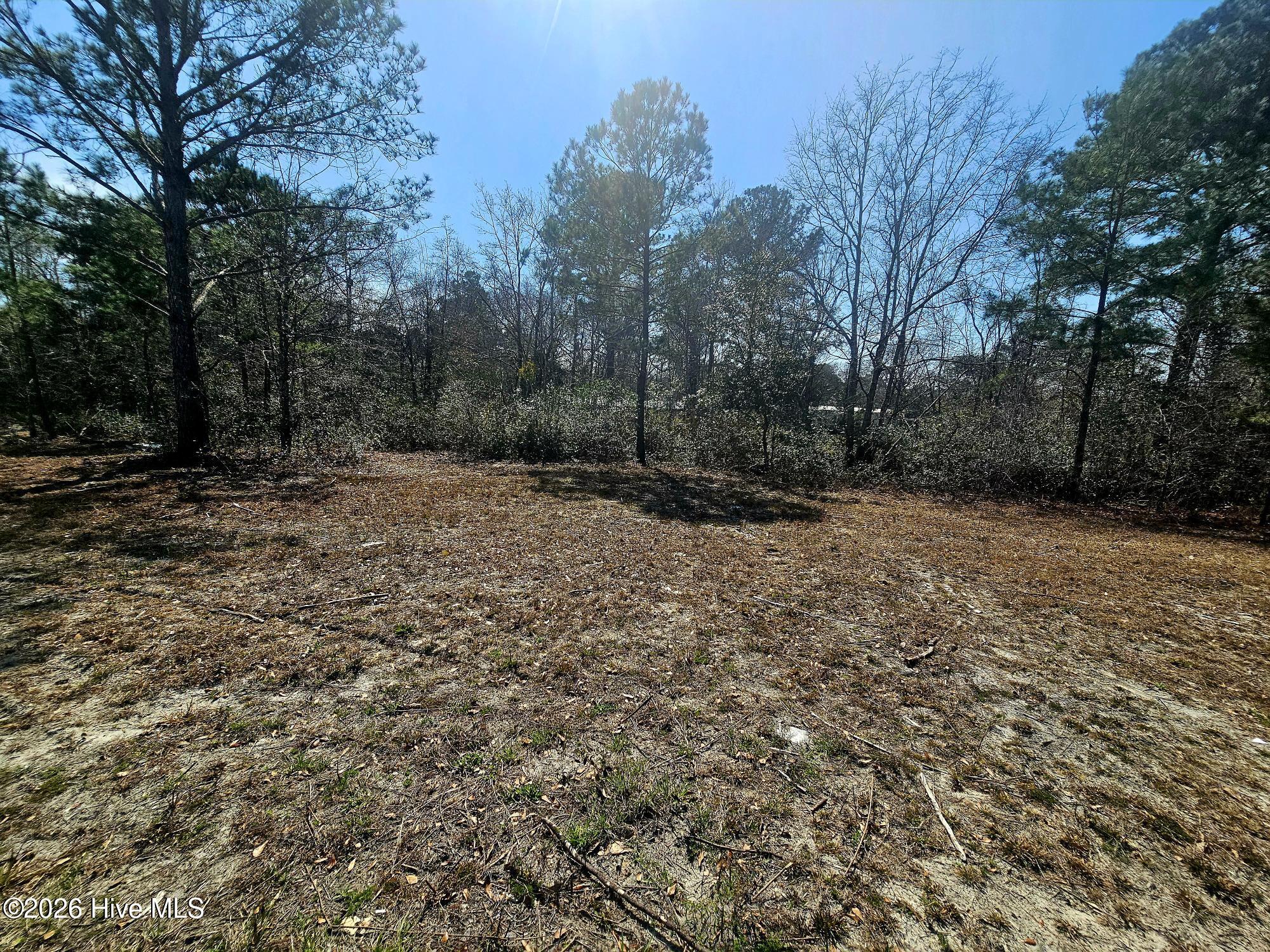 109 Mockingbird Lane