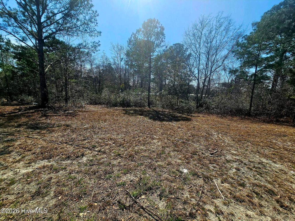 Photo of 109 Mockingbird Lane, Holly Ridge, NC 28445 (MLS # 100565039)