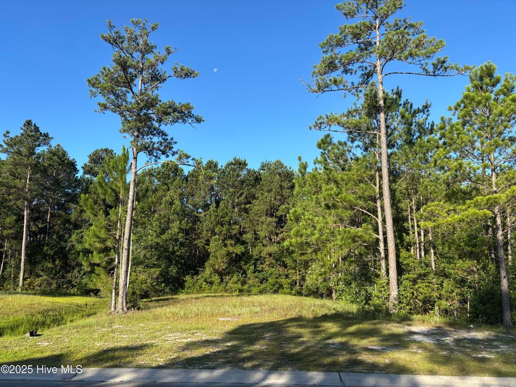 Photo of 957 Ashburton Road SE, Bolivia, NC 28422 (MLS # 100520796)