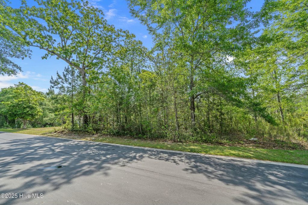 Photo of 3088 Brackenbury Street SW, Shallotte, NC 28470 (MLS # 100502360)