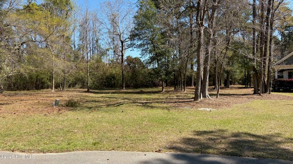429 BURGEE CT, CASTLE HAYNE, NC 28429 - Image eb4d3d51aa2b98feb324828d3fe21887/3350039946