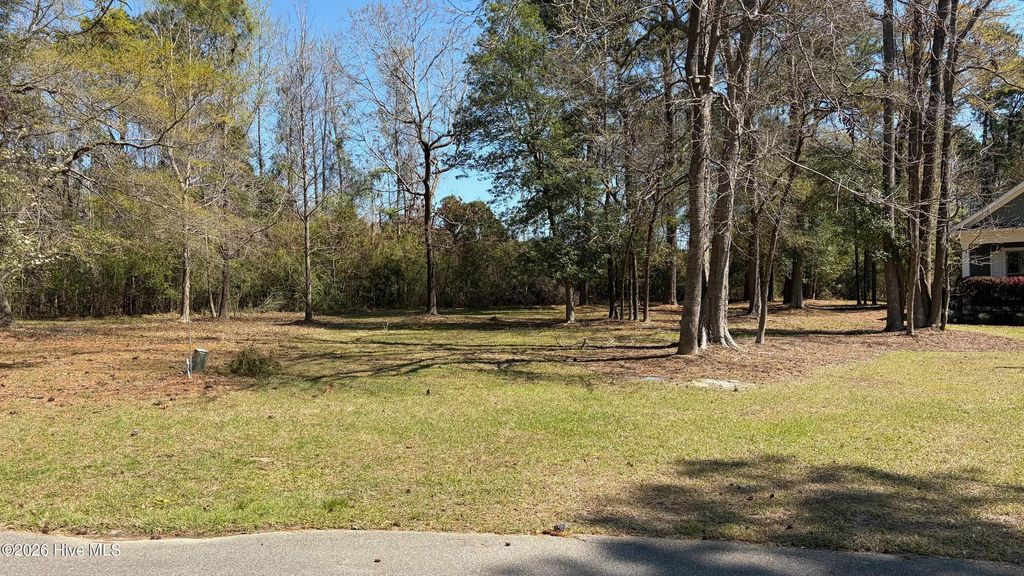 Photo of 429 Burgee Court, Castle Hayne, NC 28429 (MLS # 100561652)