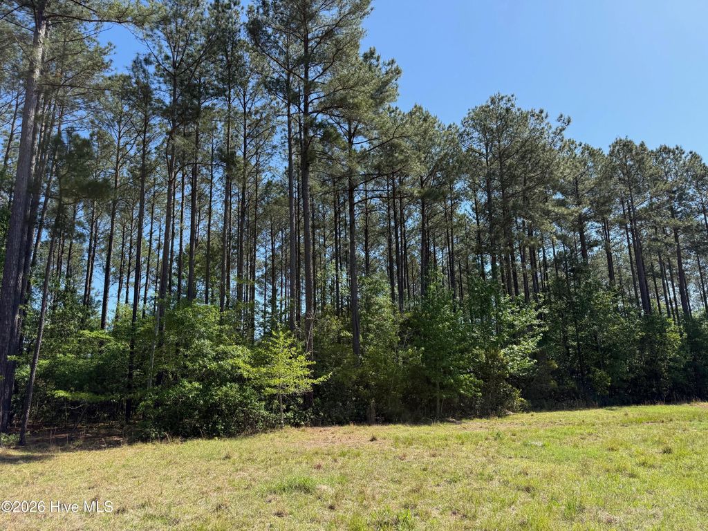 Photo of 2051 Sweat Drive, Bladenboro, NC 28320 (MLS # 100568337)