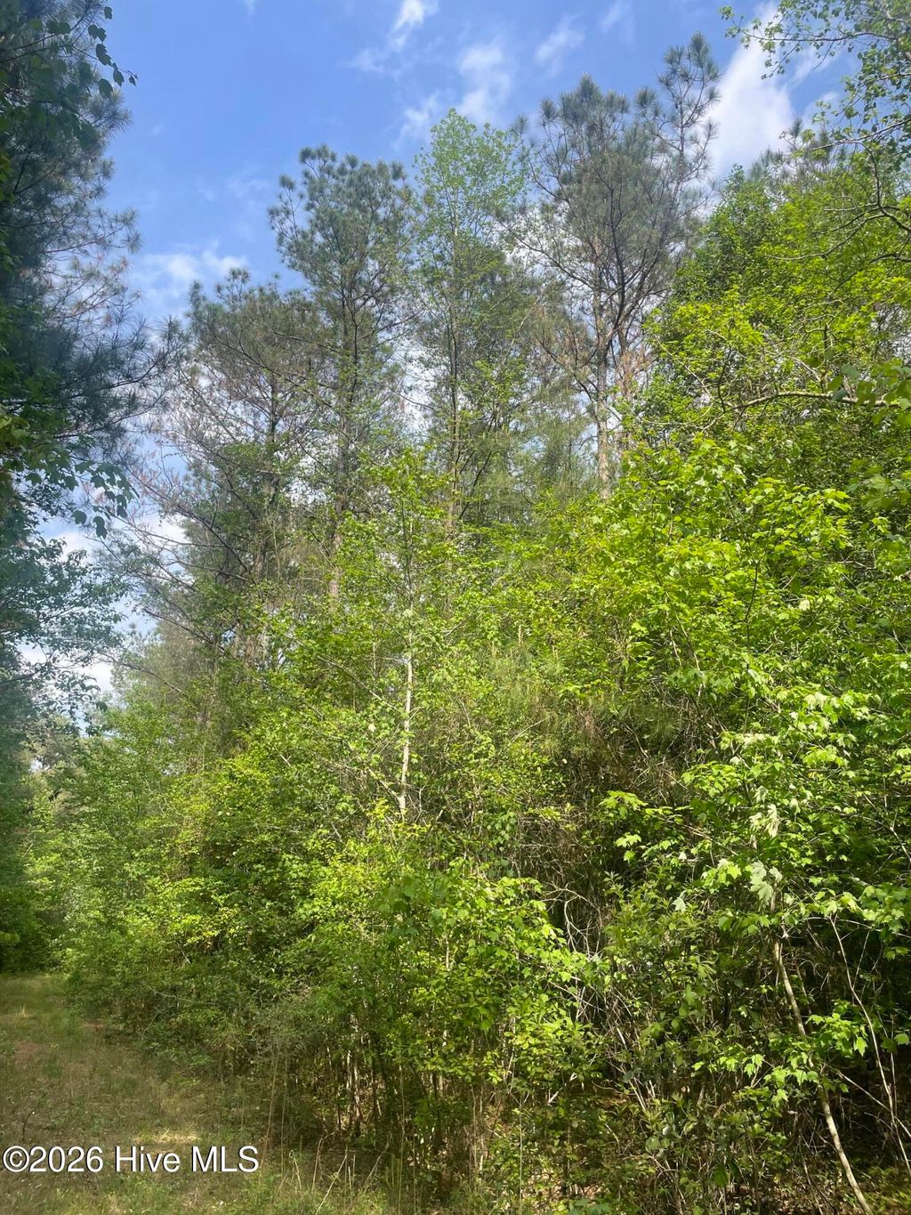 Photo of 10 Bobby Hope Road, Rose Hill, NC 27458 (MLS # 100569443)