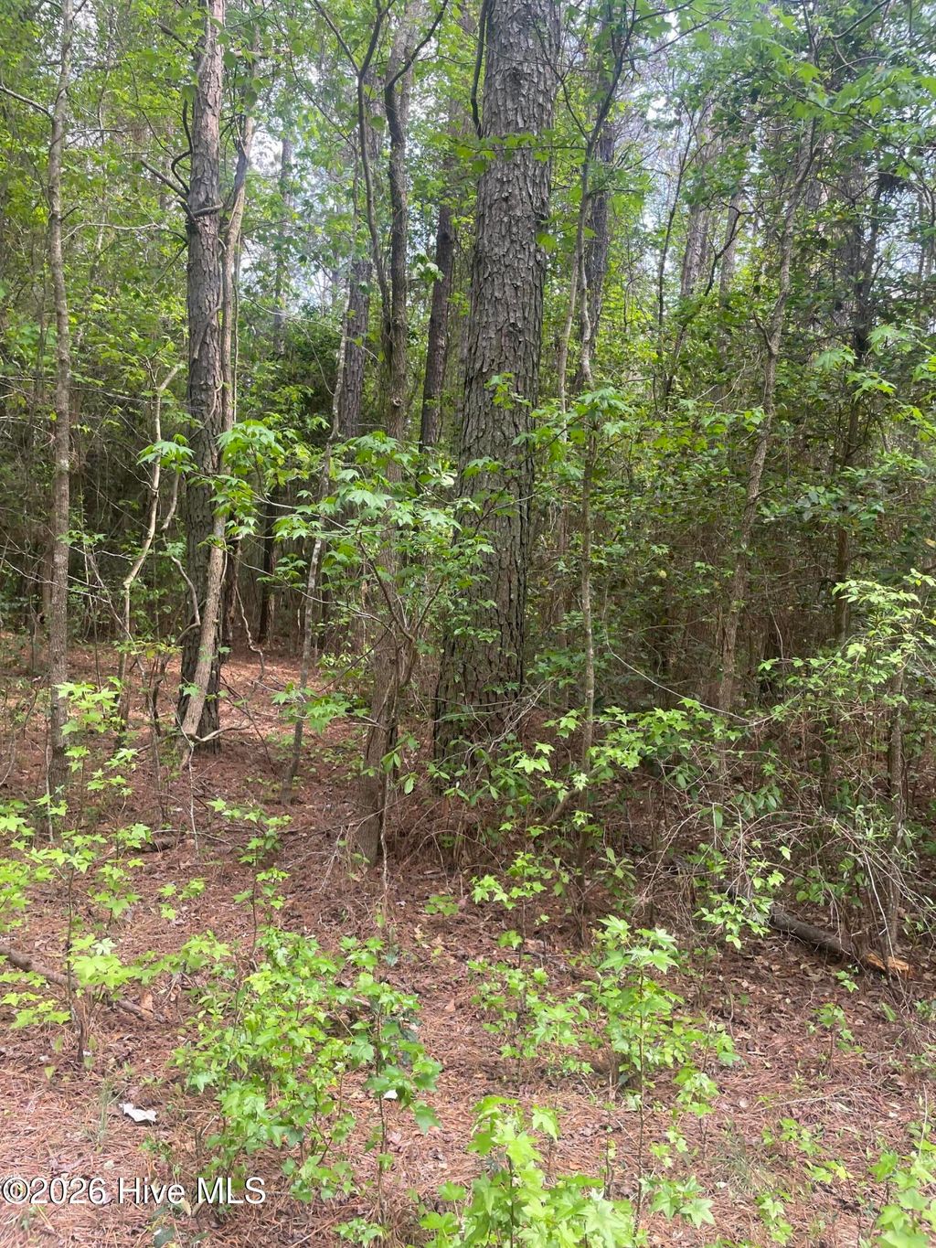 Photo of 10 Bobby Hope Road, Rose Hill, NC 27458 (MLS # 100569443)