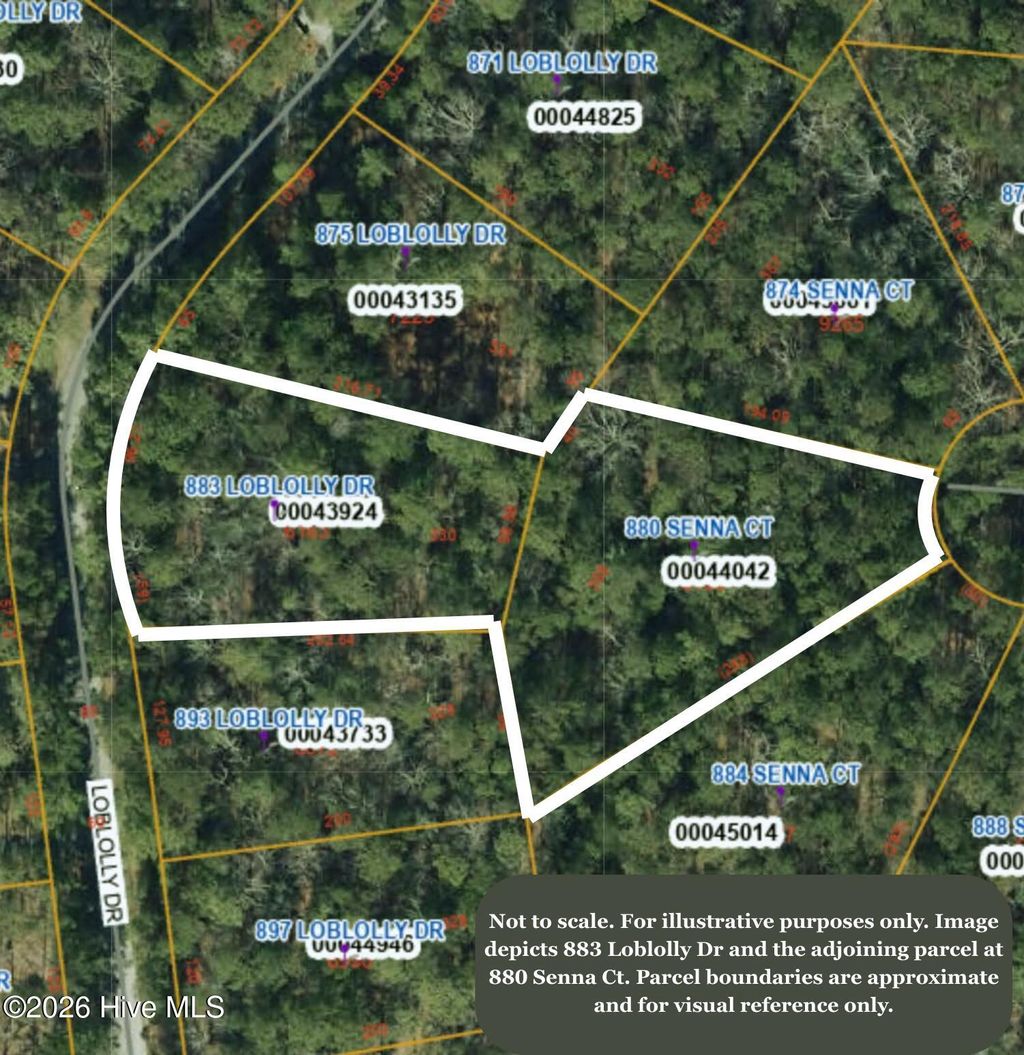 Photo of 883 Loblolly Drive, Vass, NC 28394 (MLS # 100553368)