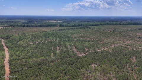Vacant Land For Sale - Guinea Mill Road<br/> Ernul, NC 28527