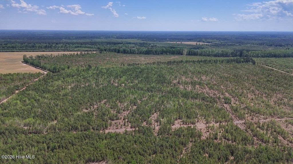 Photo of 0 Guinea Mill Road, Ernul, NC 28527 (MLS # 100568834)