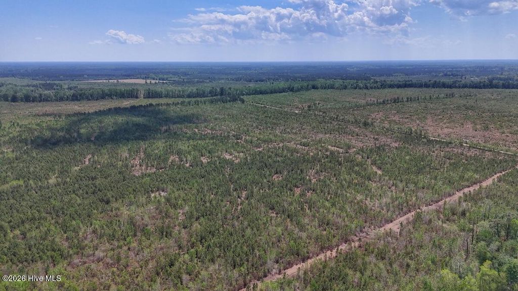 Photo of 0 Guinea Mill Road, Ernul, NC 28527 (MLS # 100568834)