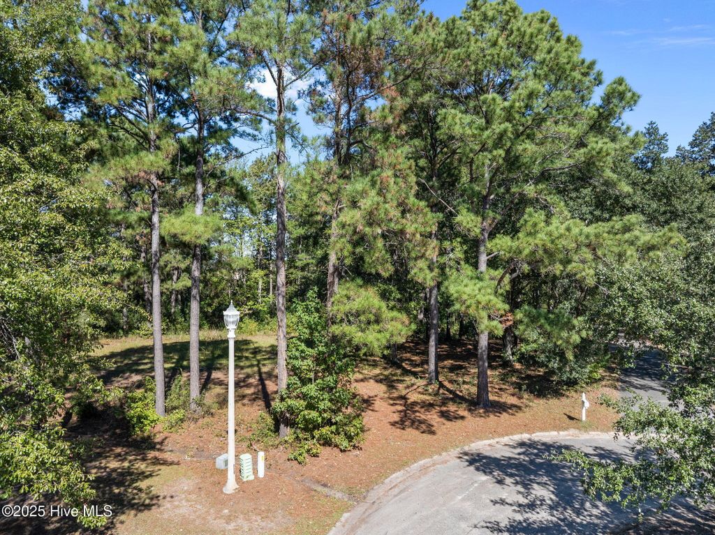 Photo of 444 Kristen Lane SW, Supply, NC 28462 (MLS # 100537620)