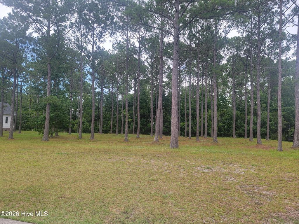 Photo of 6368 Blenhiem Place SW, Ocean Isle Beach, NC 28469 (MLS # 100591929)
