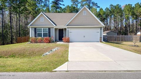 Photo of 238 Poppleton Drive, Hampstead, NC 28443 (MLS # 100561159)