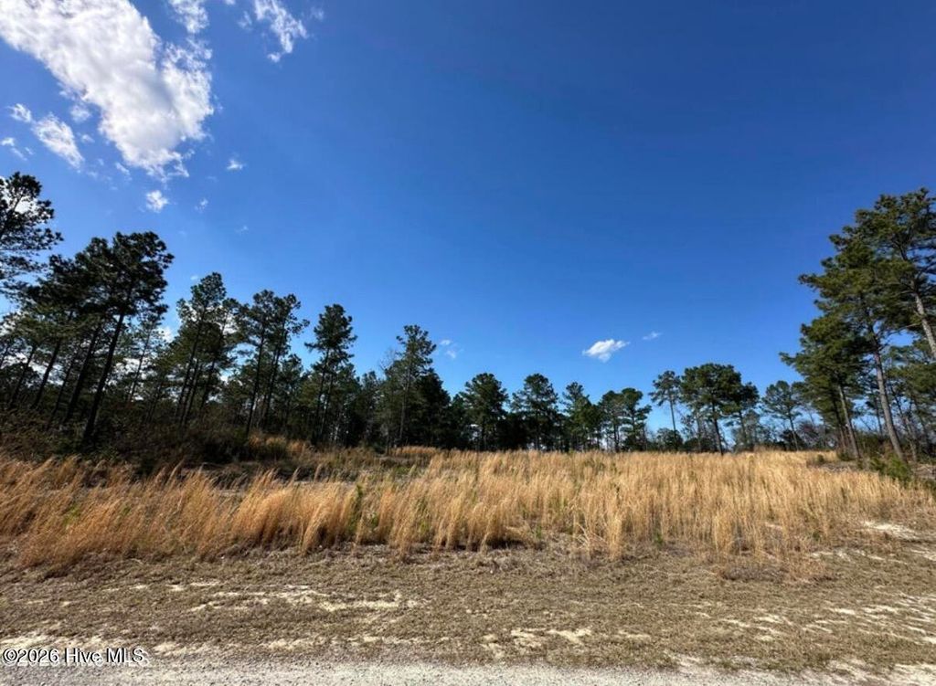 Photo of 565 Susie Circle, Cameron, NC 28326 (MLS # 100552763)