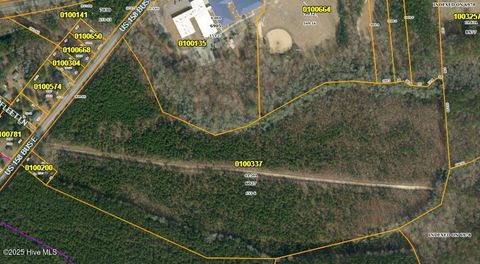 Vacant Land For Sale - Us-158 Bus<br/> Gates County, Gatesville, NC 27938