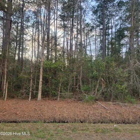 Vacant Land For Sale - TRACT 8 Fennell Town Road<br/> Pender County, Rocky Point, NC 28457