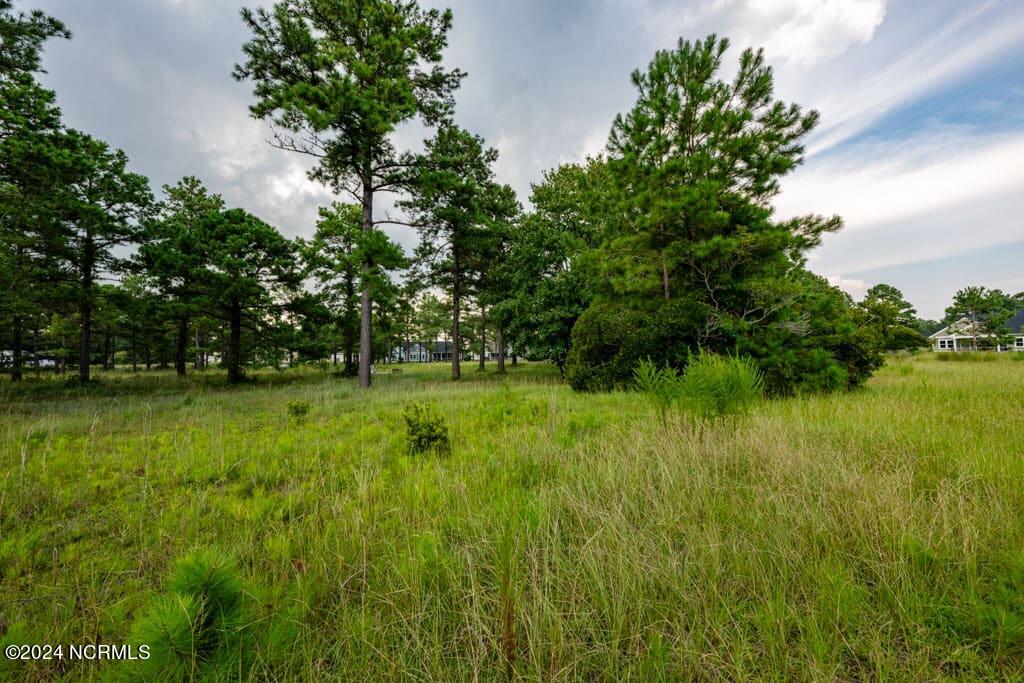 1018 36 Fynn Notch SW