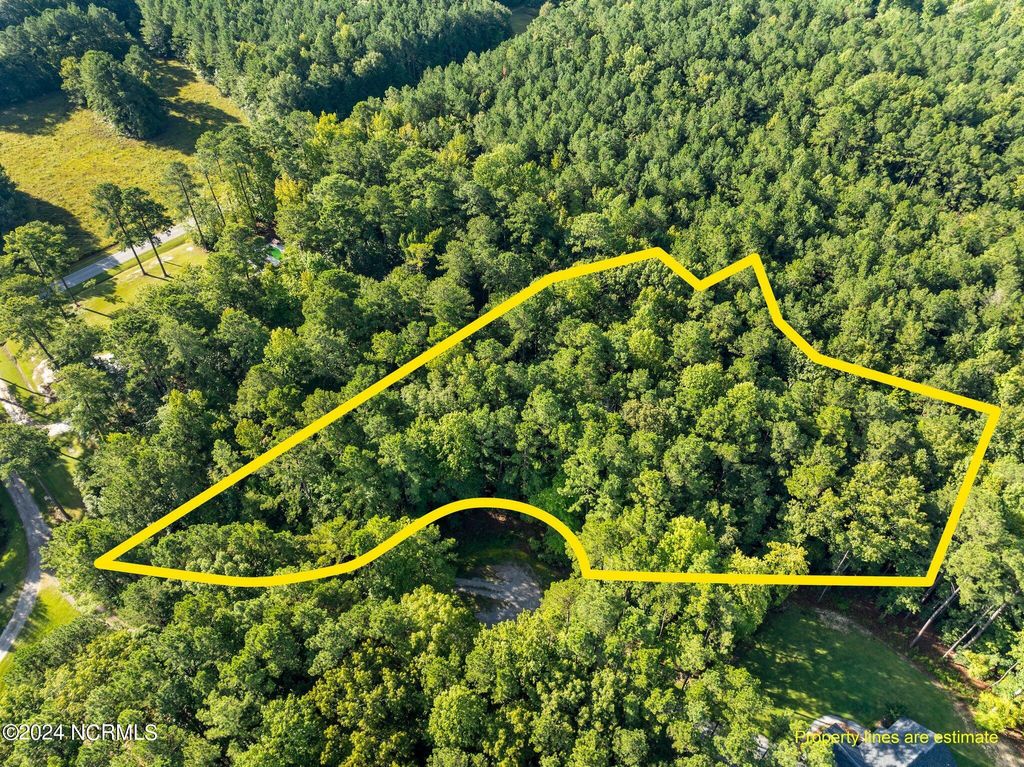 Photo of 81 Beans Bend, Chocowinity, NC 27817 (MLS # 100554471)