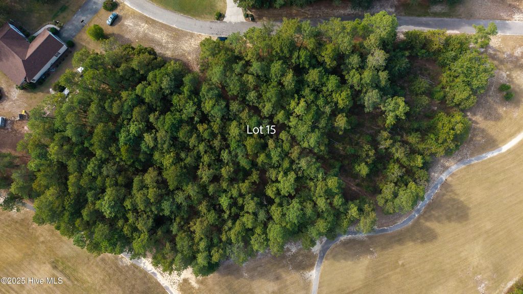 Photo of 15 Old Tom Morris Road, Garland, NC 28441 (MLS # 100535920)