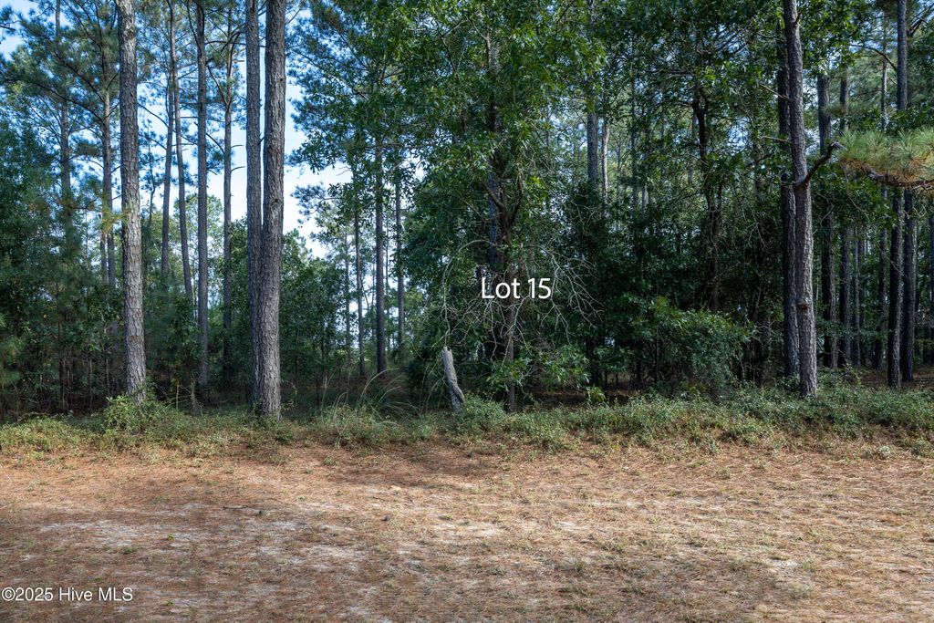 Photo of 15 Old Tom Morris Road, Garland, NC 28441 (MLS # 100535920)