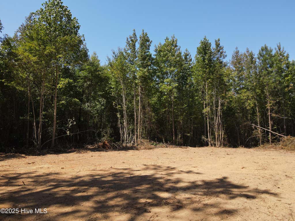 Photo of 00 Alert Road, Louisburg, NC 27549 (MLS # 100598662)