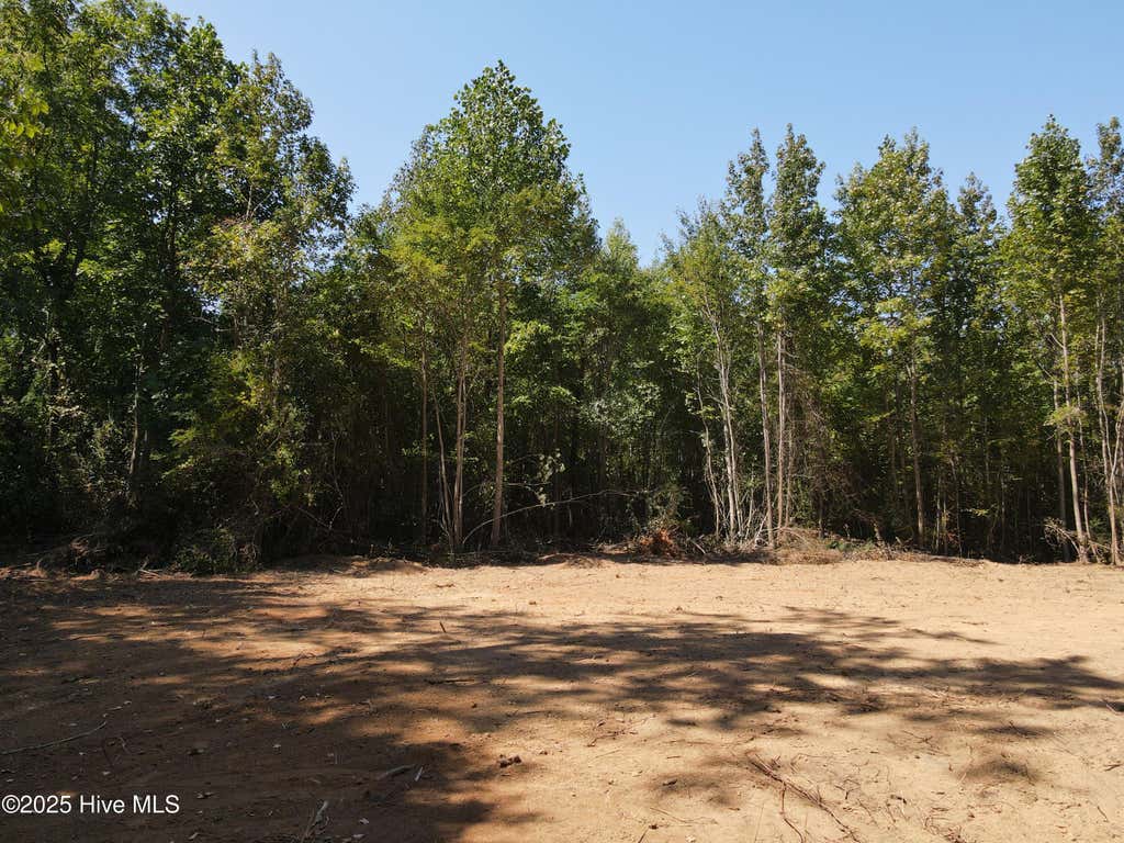 Photo of 00 Alert Road, Louisburg, NC 27549 (MLS # 100598662)